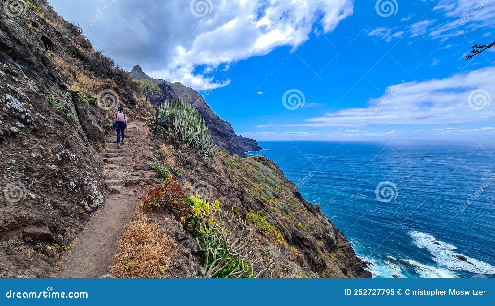 hiking woman with scenic view of coastline of anaga mountain range on tenerife, canary islands, spain. view on cabezo el tablero