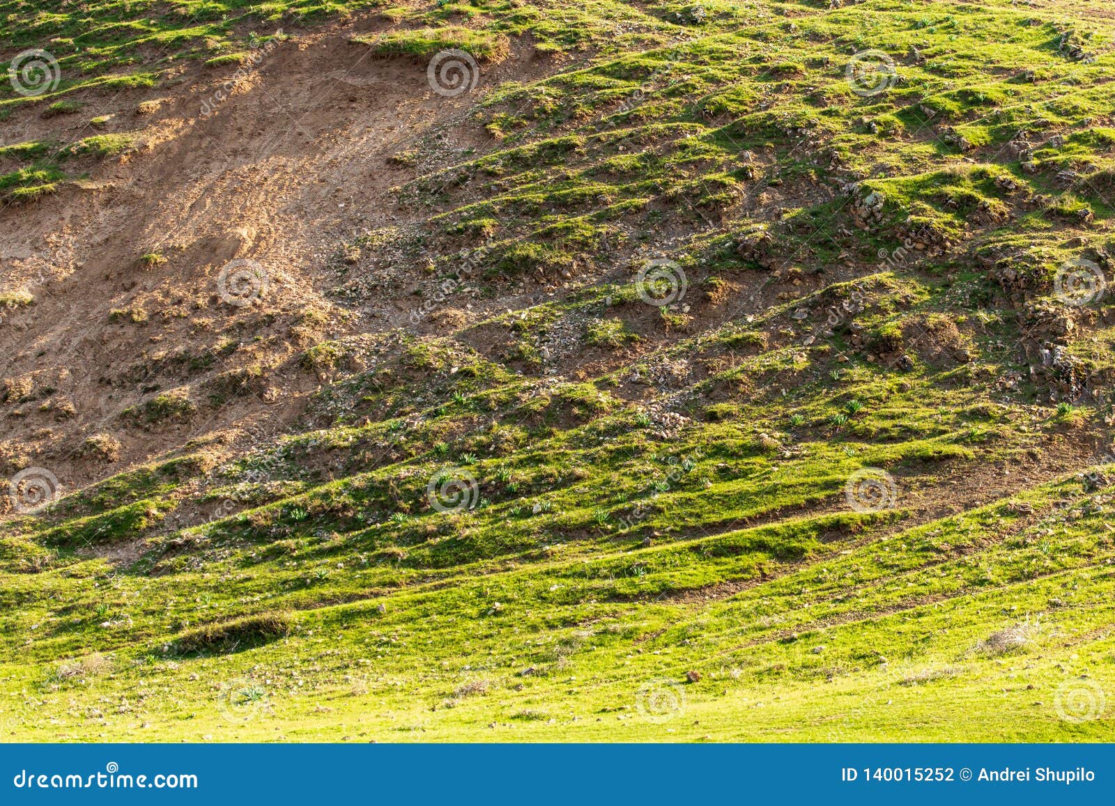 Hills Covered with Green Grass in Spring Stock Photo Image of