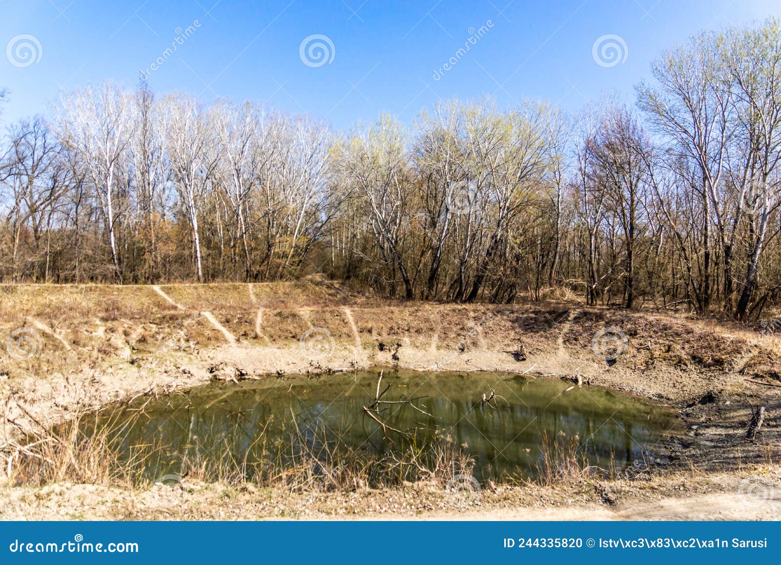 Gemenc Forest Photos Free Royalty Free Stock Photos From Dreamstime