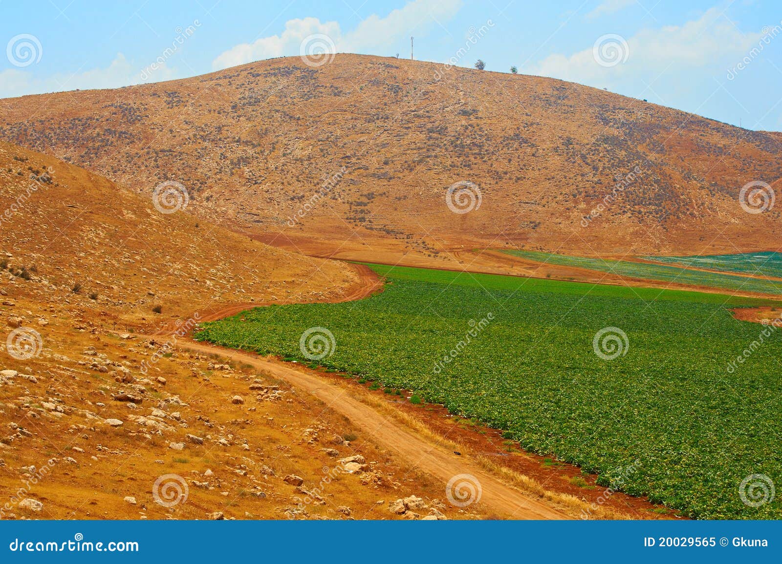 Hills of Samaria stock image. Image of green, food, farm 20029565
