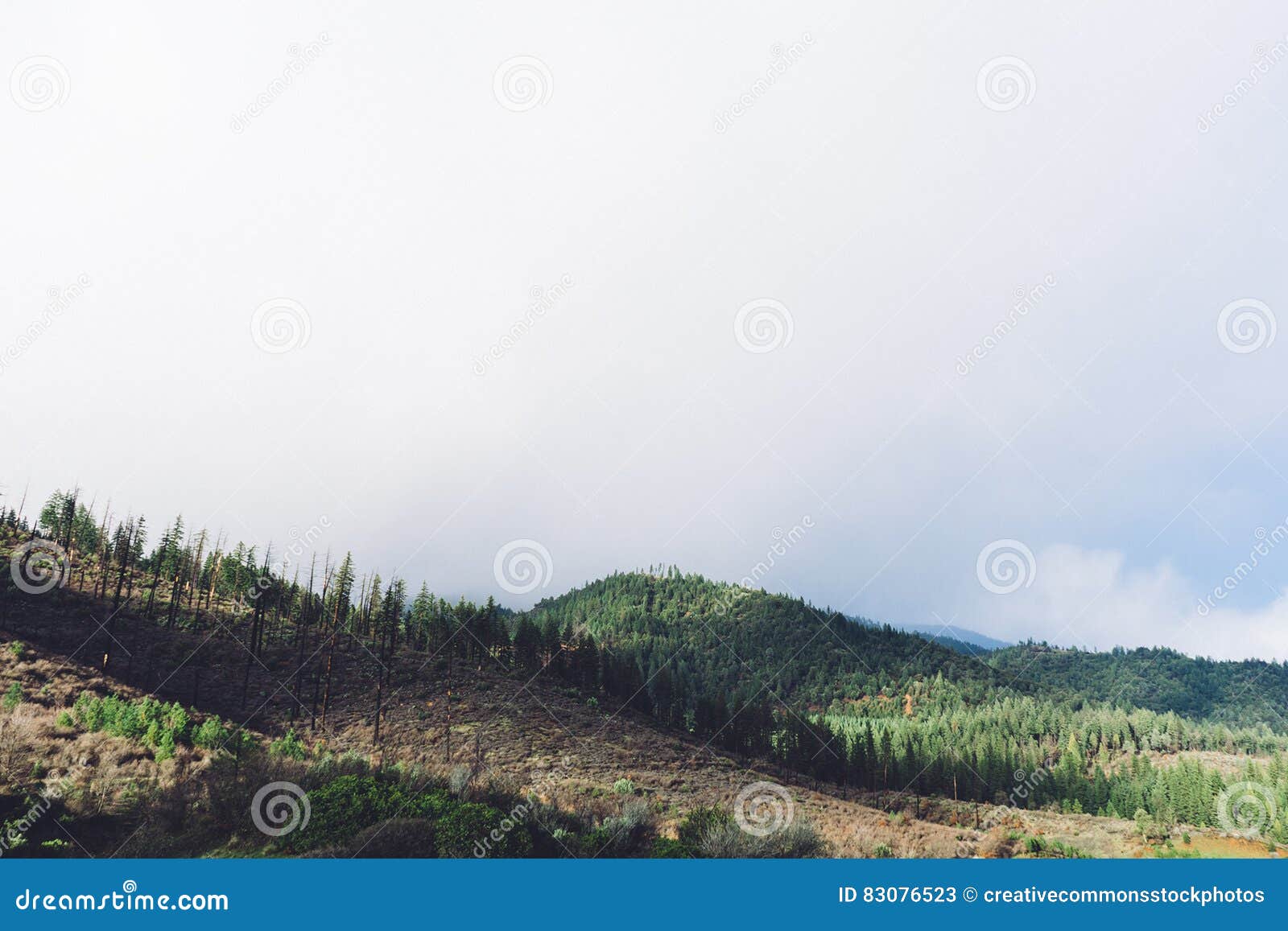 Hillside In Cloudy Weather Picture. Image 83076523