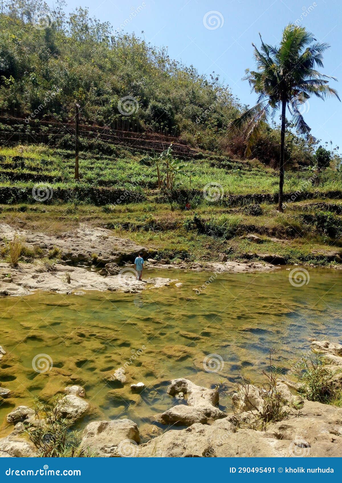 Hillside farming stock image. Image of daytime, wetland 290495491