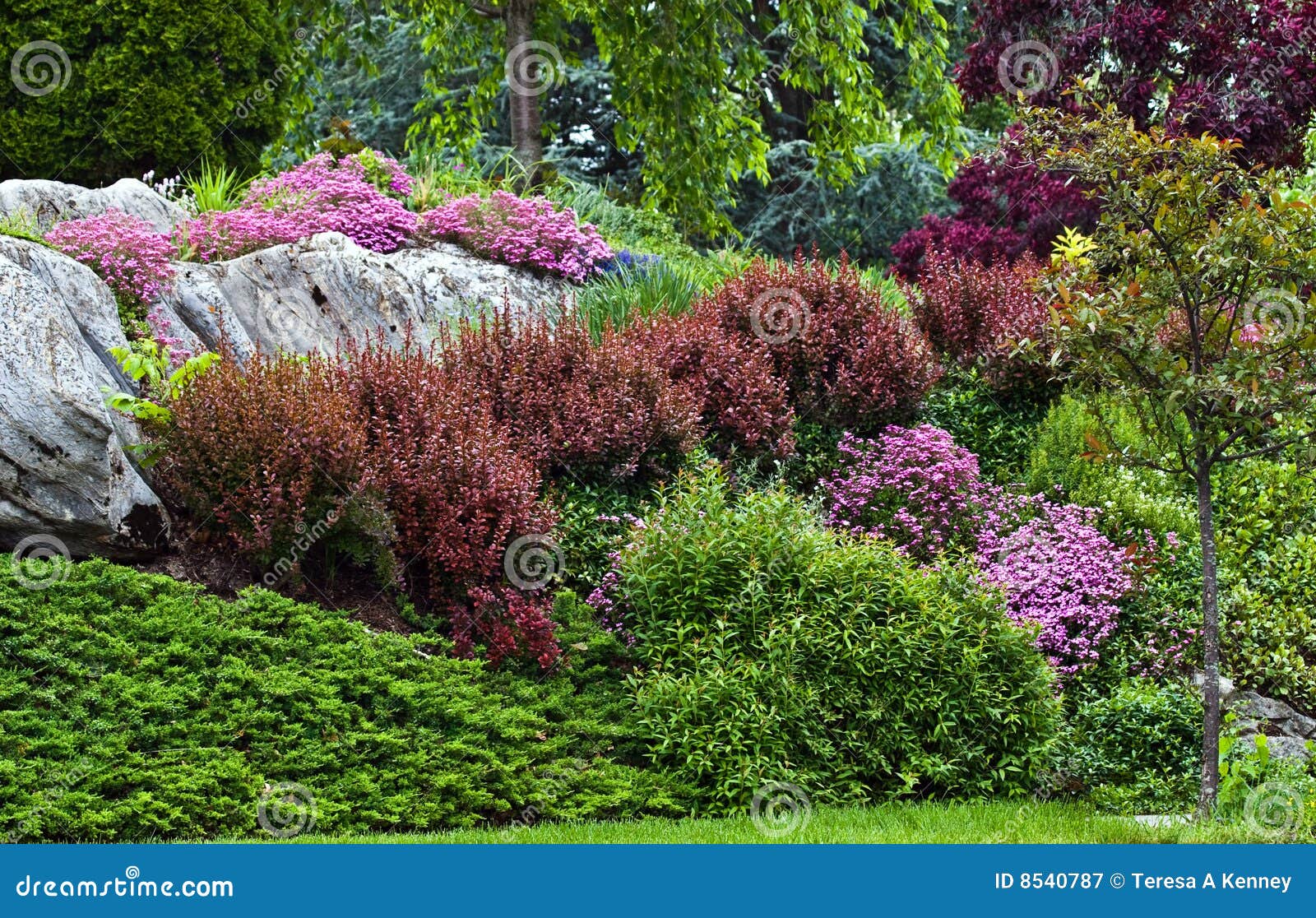 Hillside Landscaping Stock Image Image Of Hillside Flowers 8540787