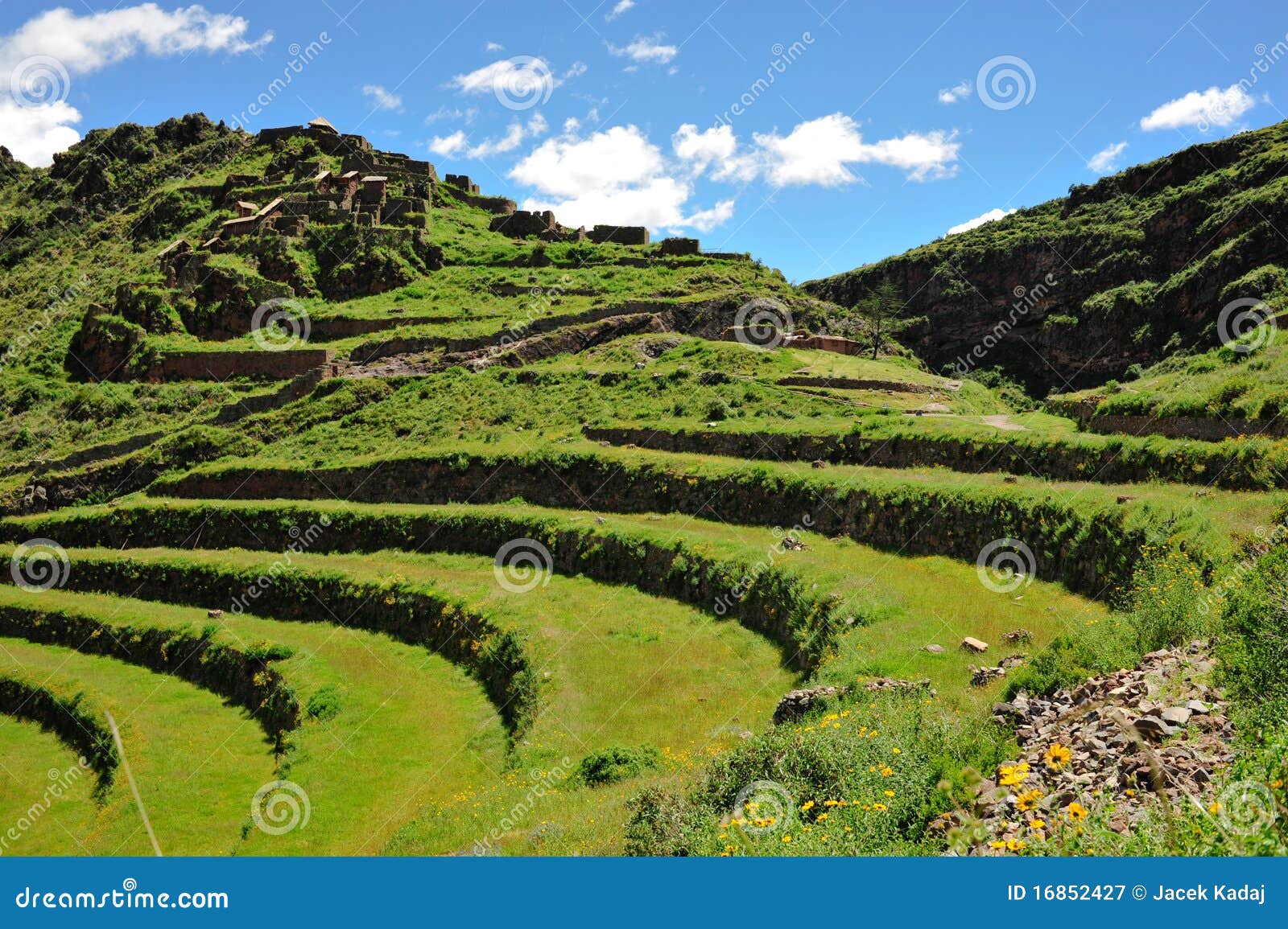 hillside terraces in urubamba valley, peru