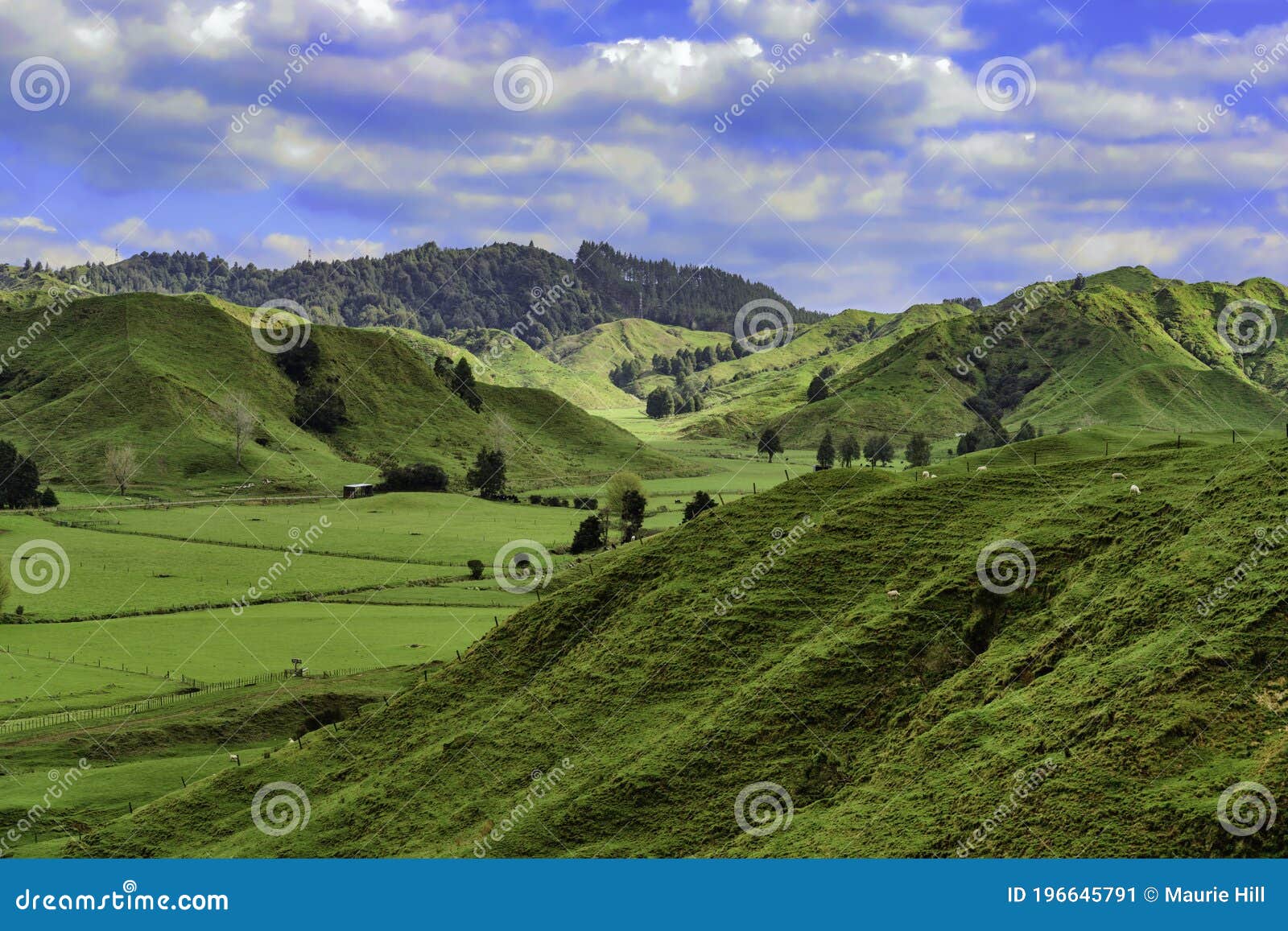 hilly farmland