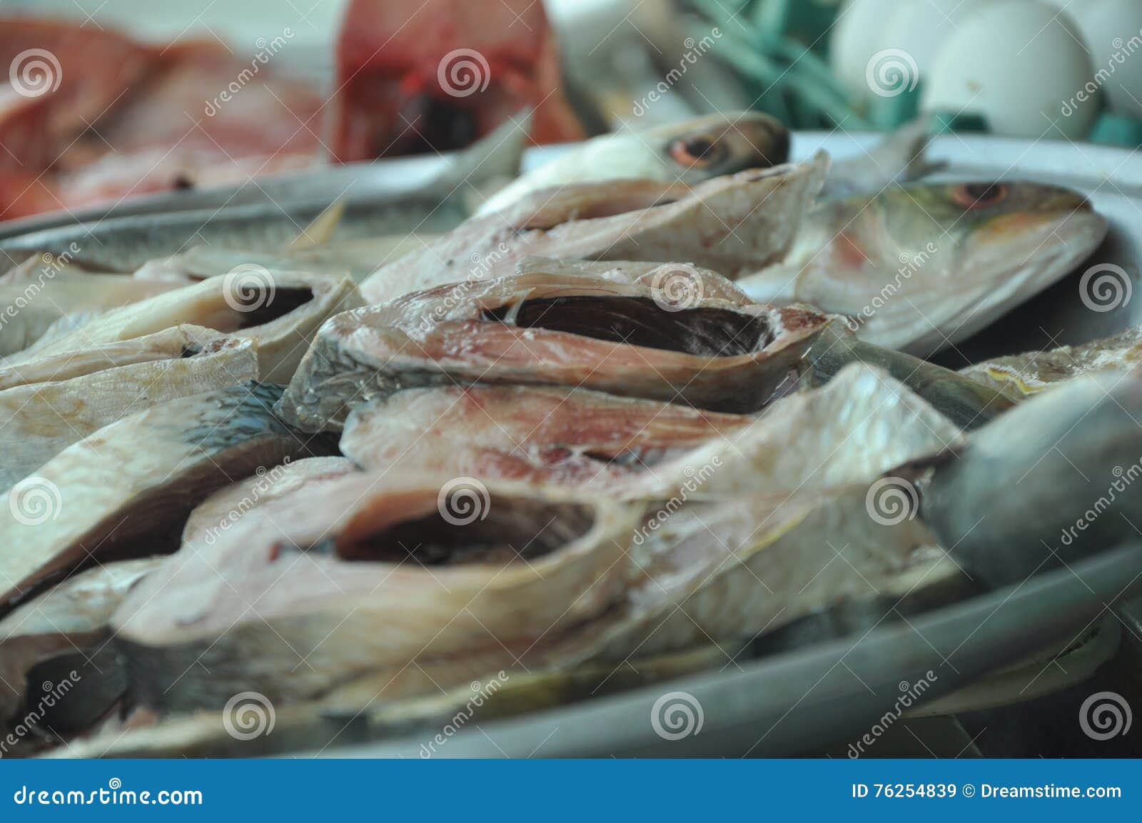 hilsa fish