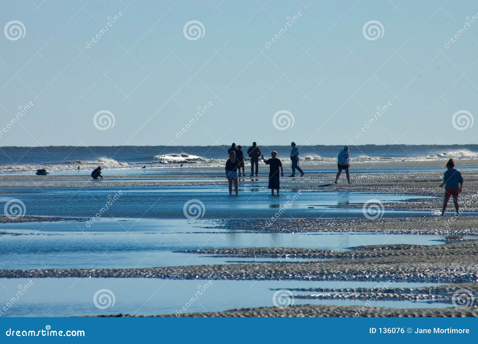 hilton head island beach walkers