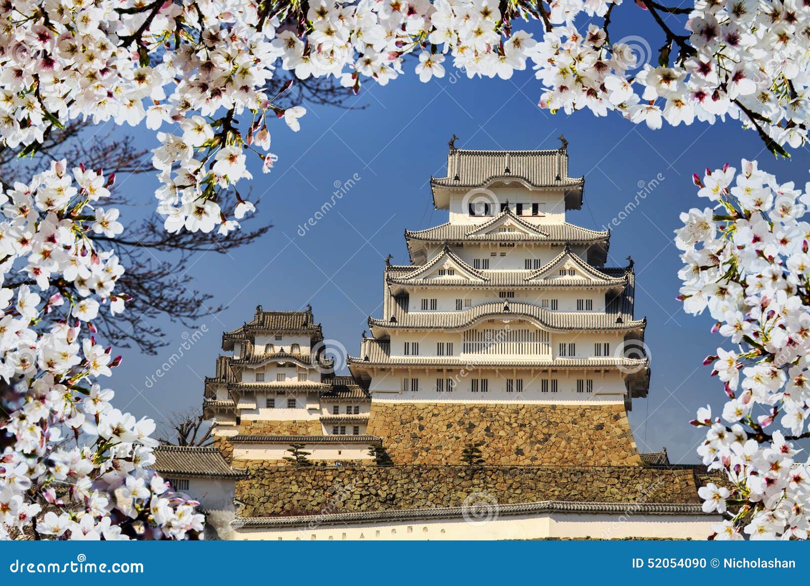 Himeji Castle during Cherry Blossom Time Stock Photo Image of blossom