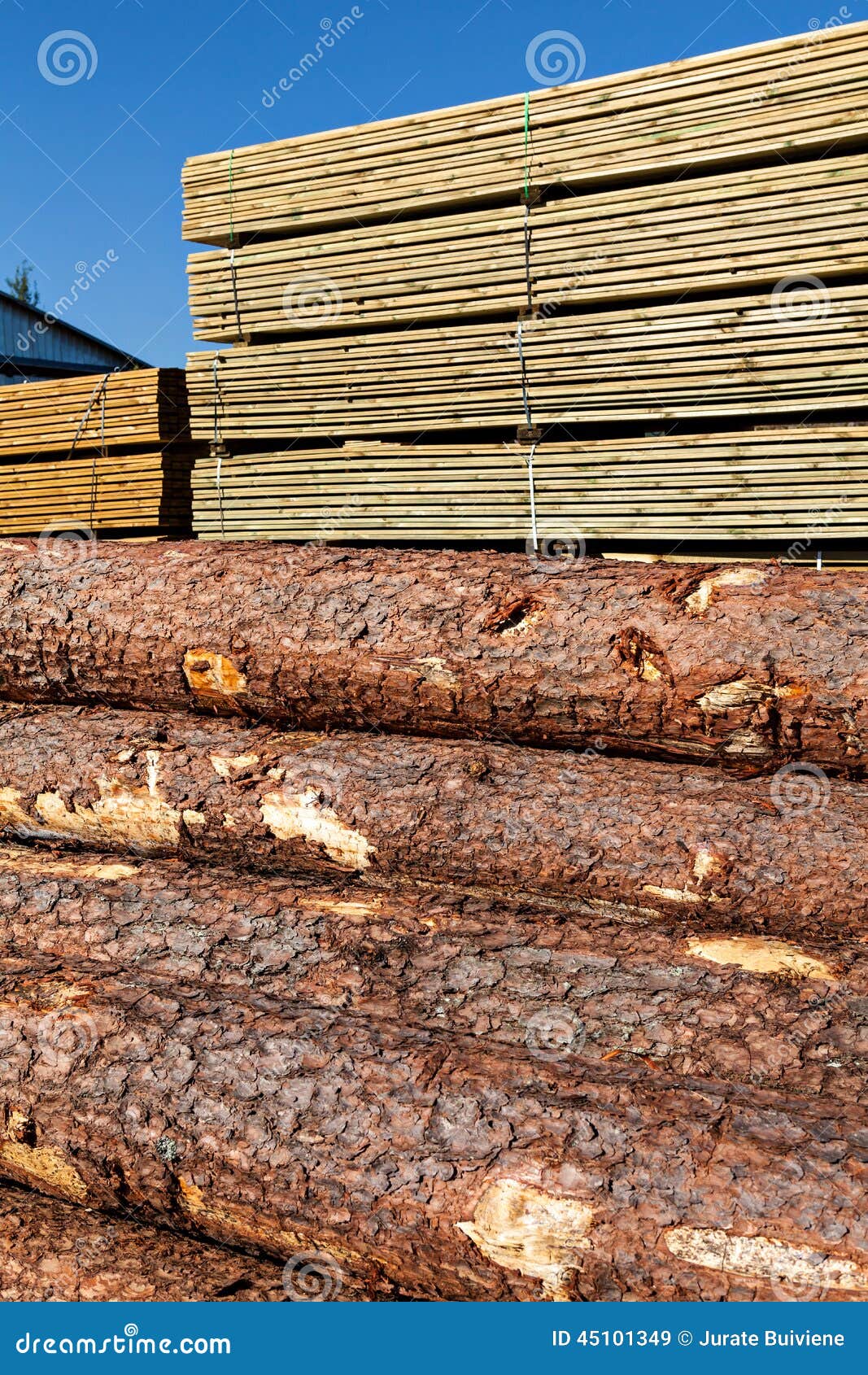 Hindernis stockbild. Bild von protokolle, hintergrund - 45101349