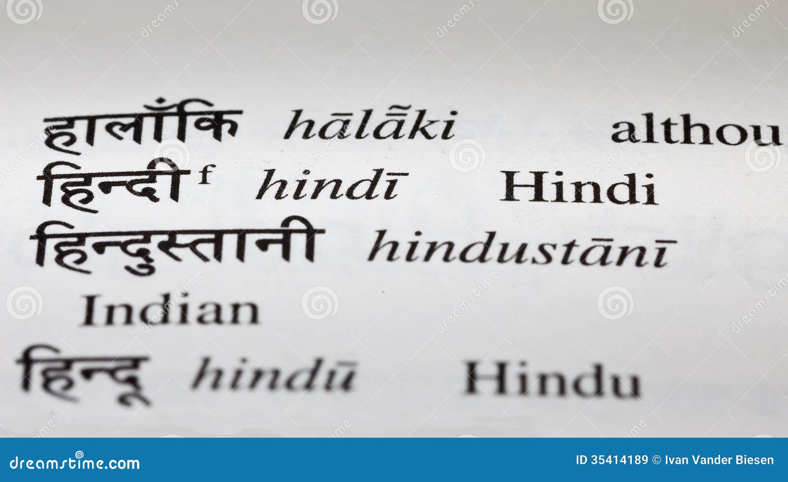Hindi Language And English