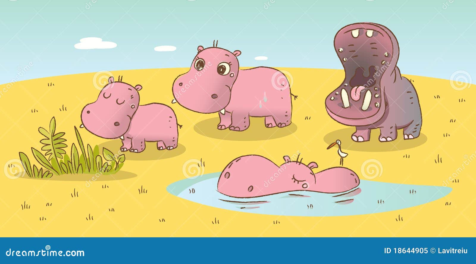 hippo family