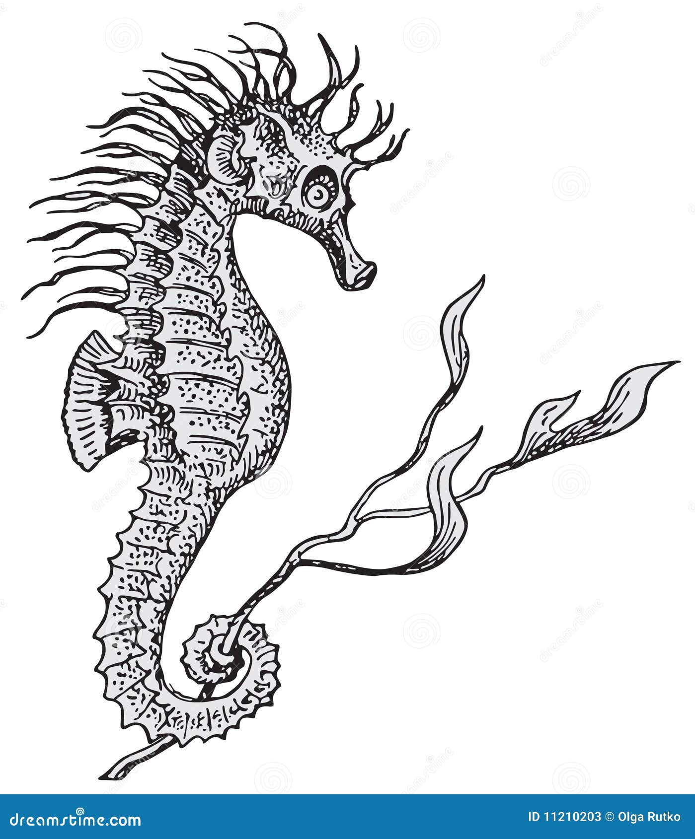 Hippocampus vector stock vector. Illustration of plant 11210203