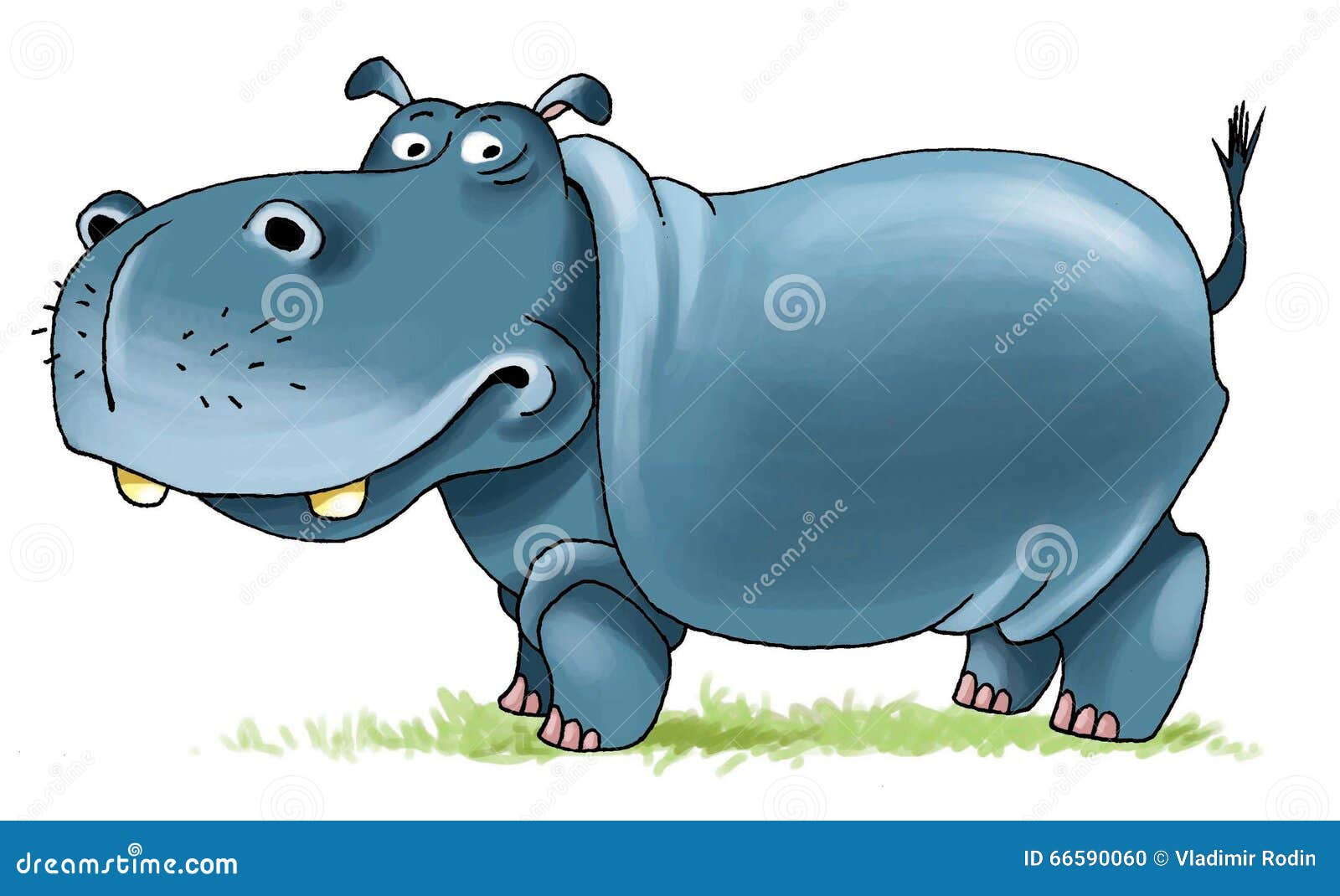 hippopotamus africa nostrils cloven-hoofed mammal