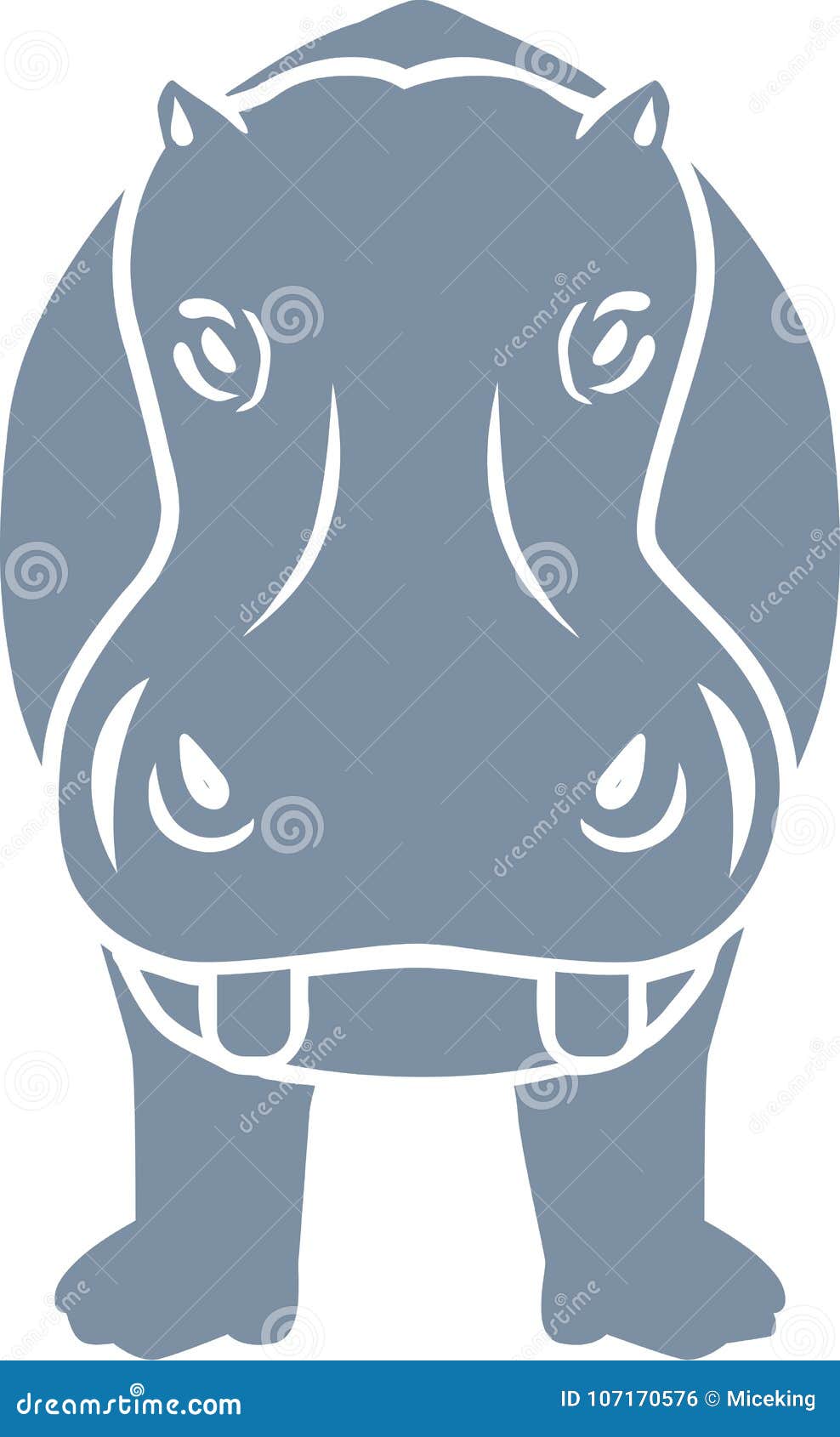 hippopotamus frontview 