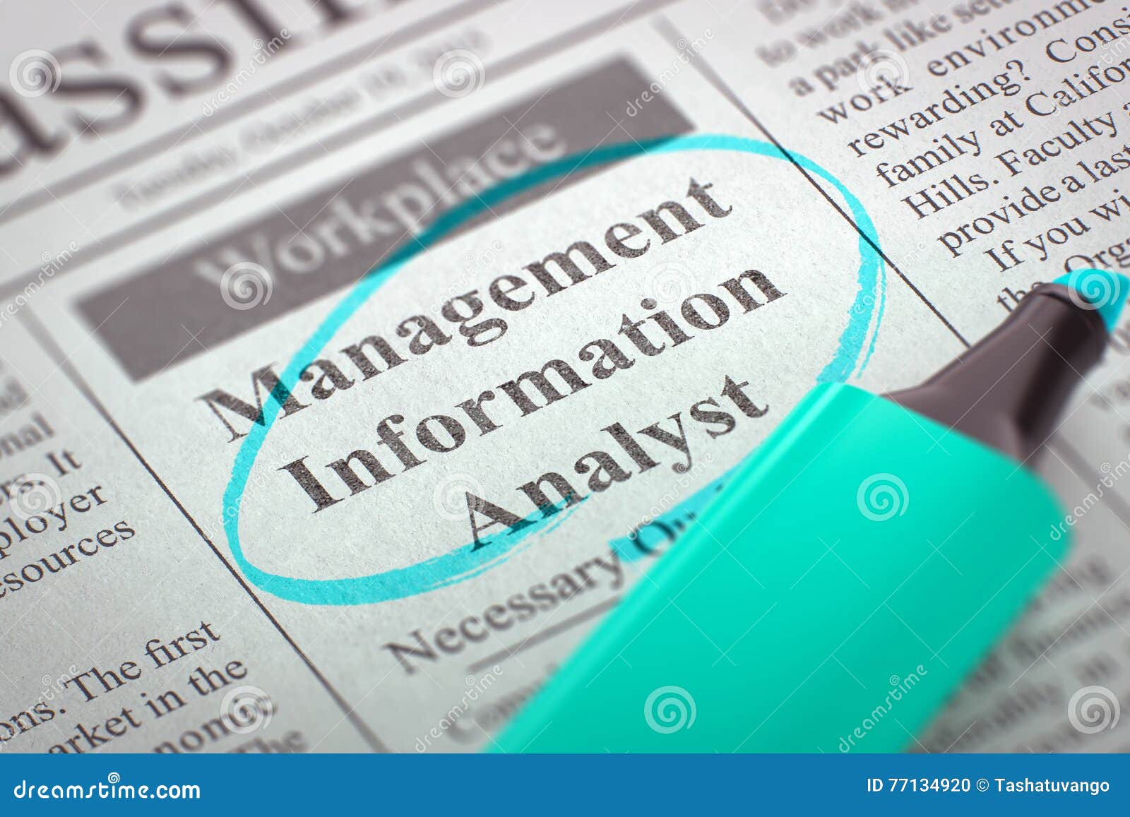 Management information analyst home+depot jobs