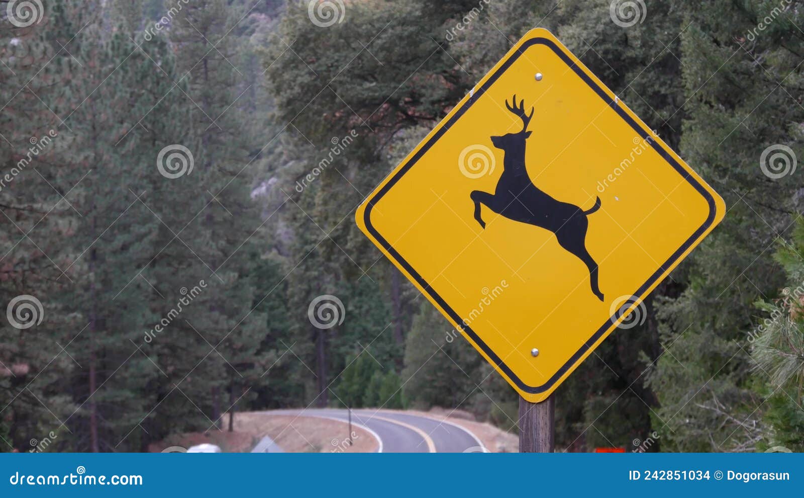 Hirsche überqueren Gelbe Straße Schild California Usa. Sicherheit