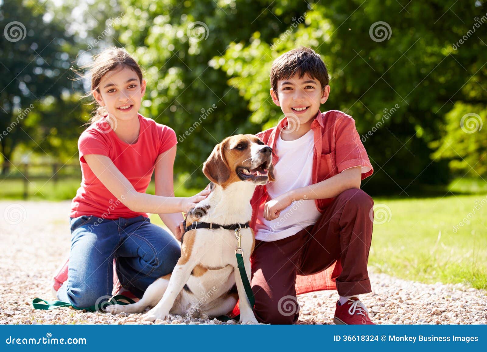 Hispanic Children Taking Dog for Walk Stock Photo Image of leash