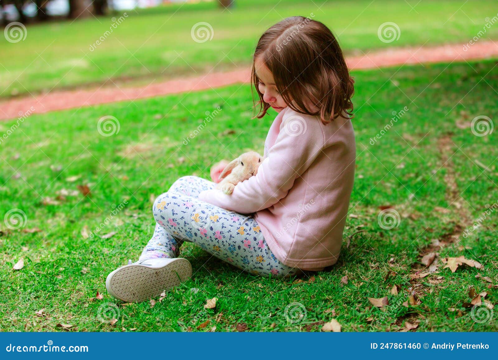 Hispanic Girl with a Rabbit in the Park Stock Photo Image of avian, gray 247861460