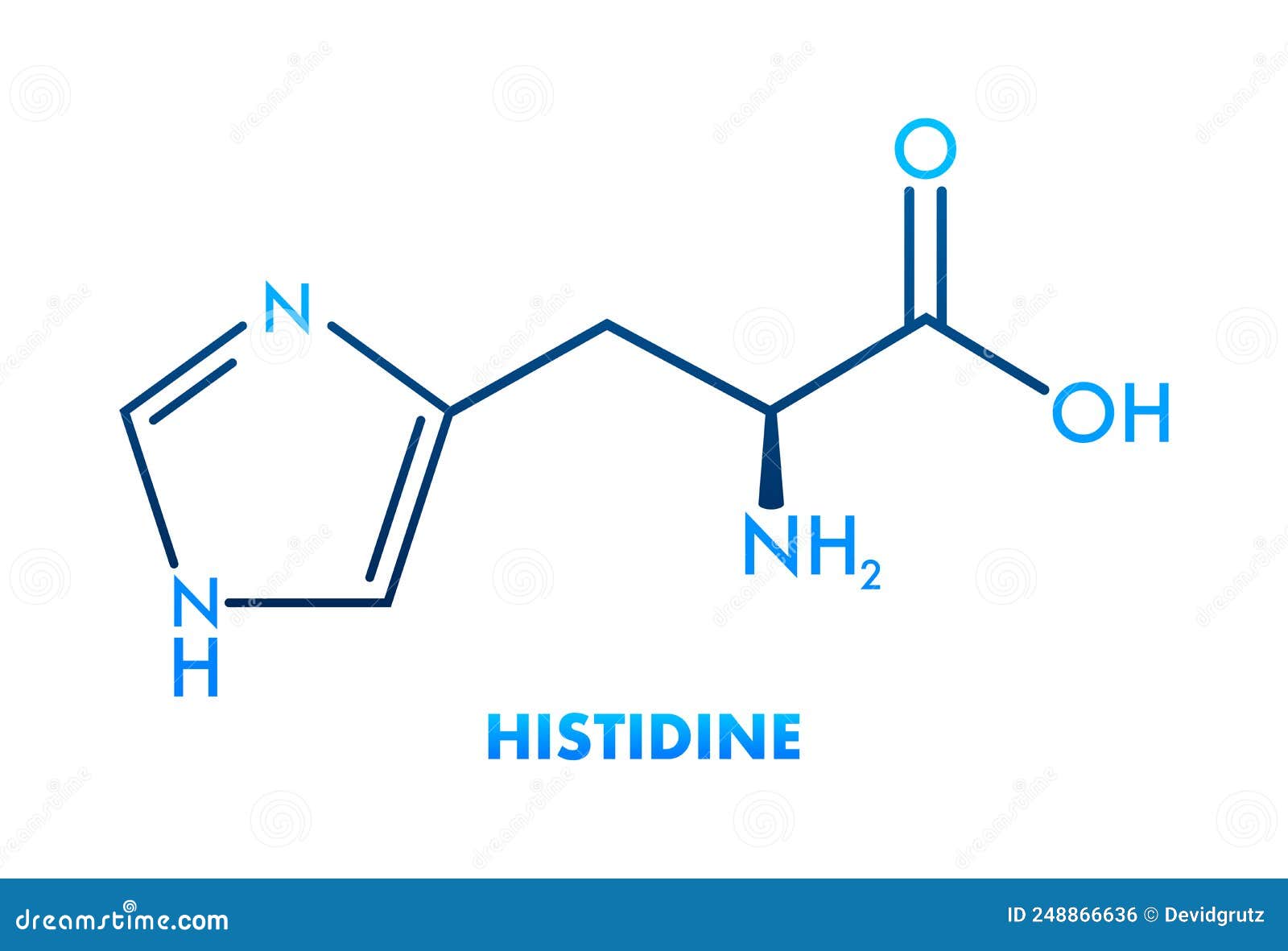 Histidine Lhistidine, His, H Amino Acid Molecule. Vector Illustration Stock Vector