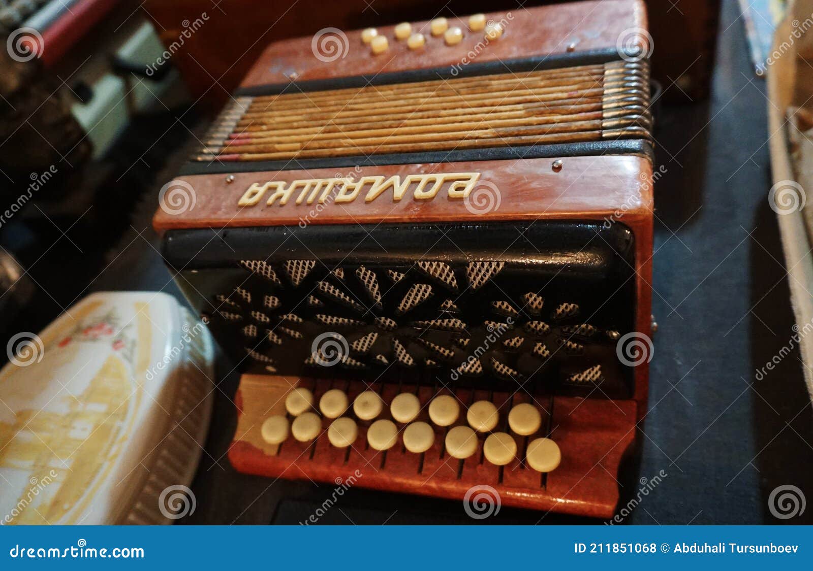 Historic accordion editorial stock photo. Image of song 211851068