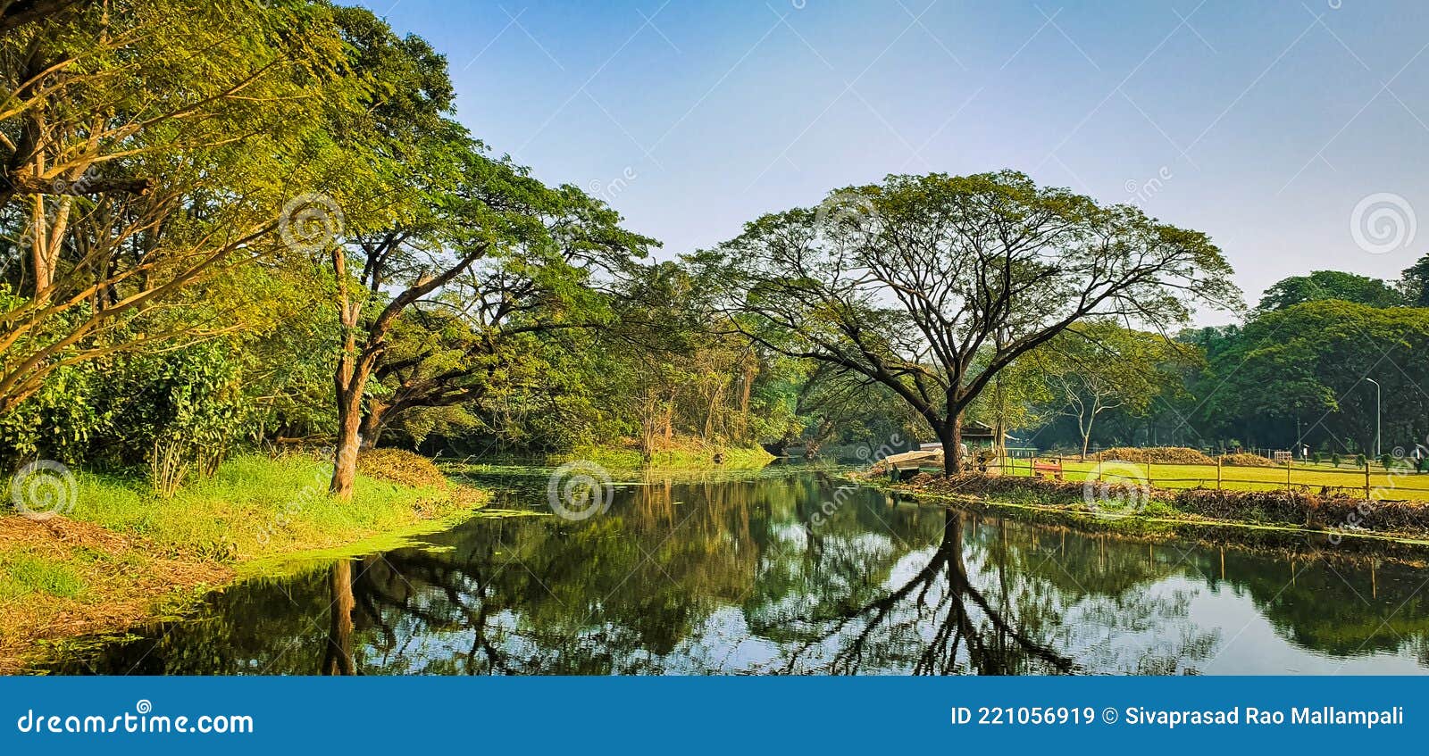 273 Acharya Stock Photos - Free & Royalty-Free Stock Photos from Dreamstime