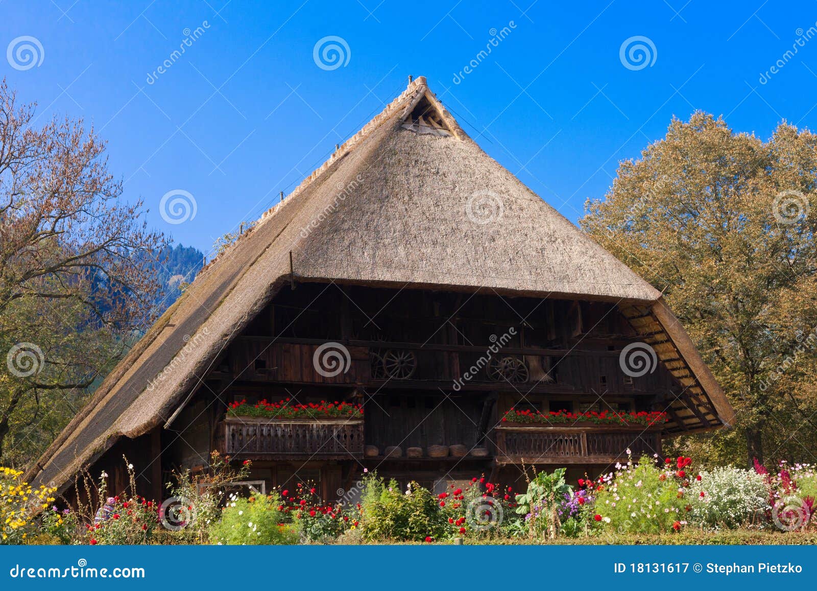 Historic Black Forest Farmhouse Black Forest Open Air Museum