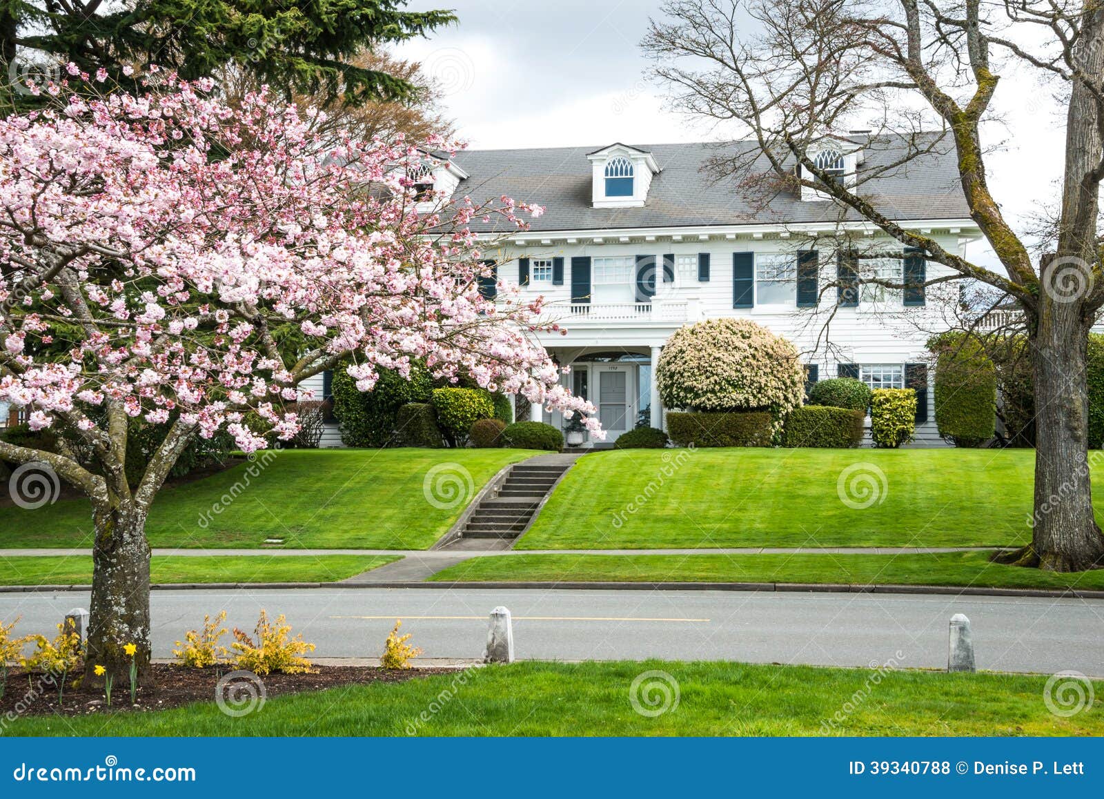 Colonial revival style (1910) stately luxury wooden house in American 