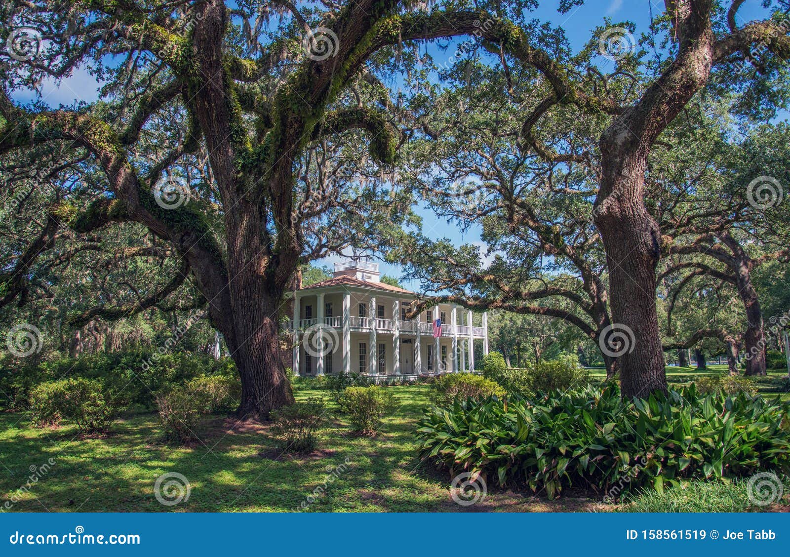 Eden Gardens State Park Stock Image Image Of Southern 158561519