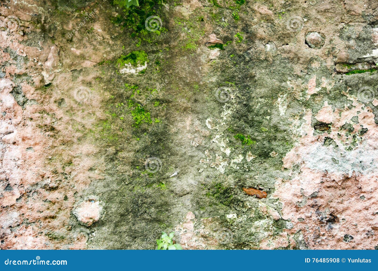 historic moss stone walls