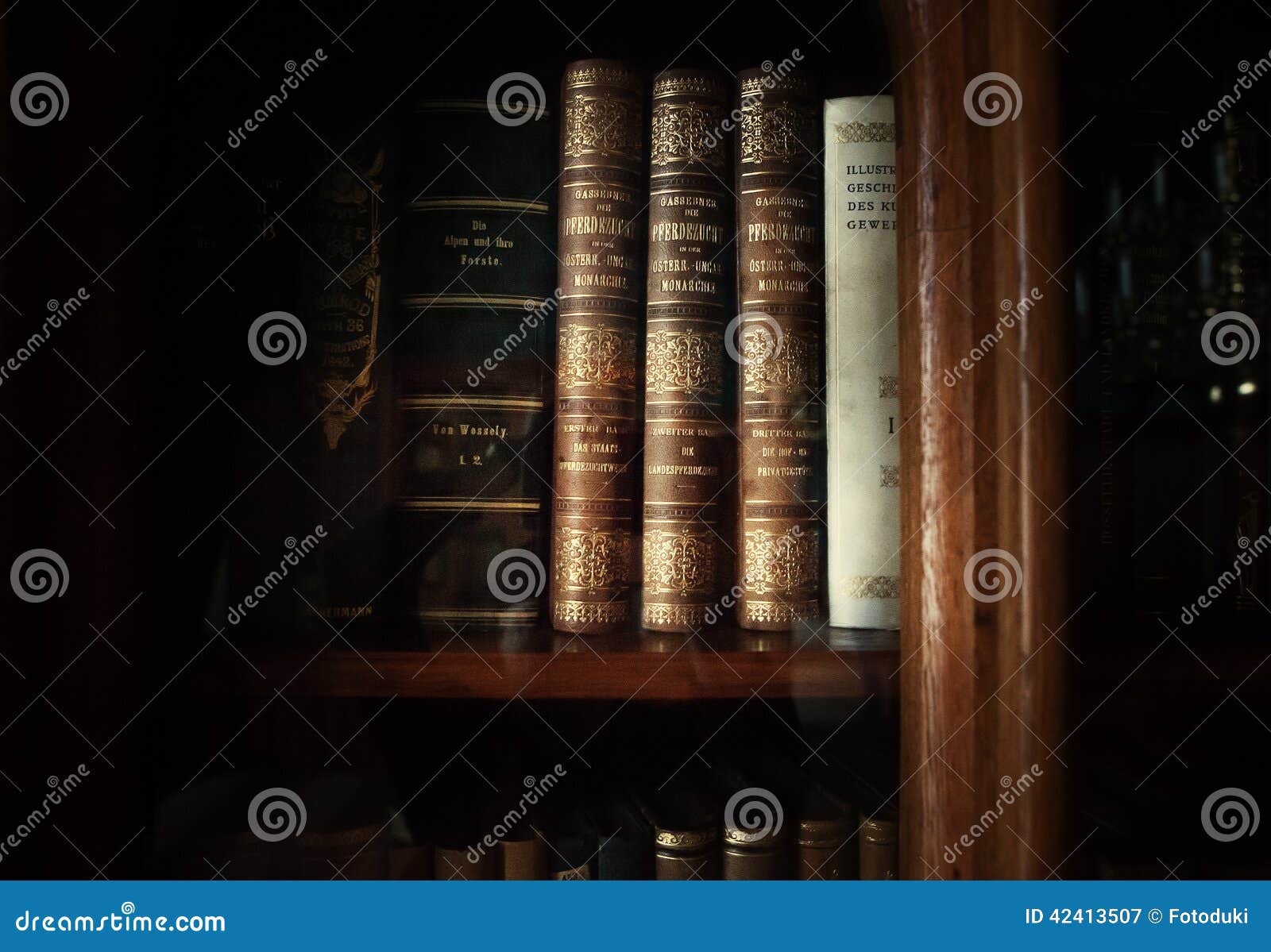 Historic Old Books in Library Editorial Photography Image of