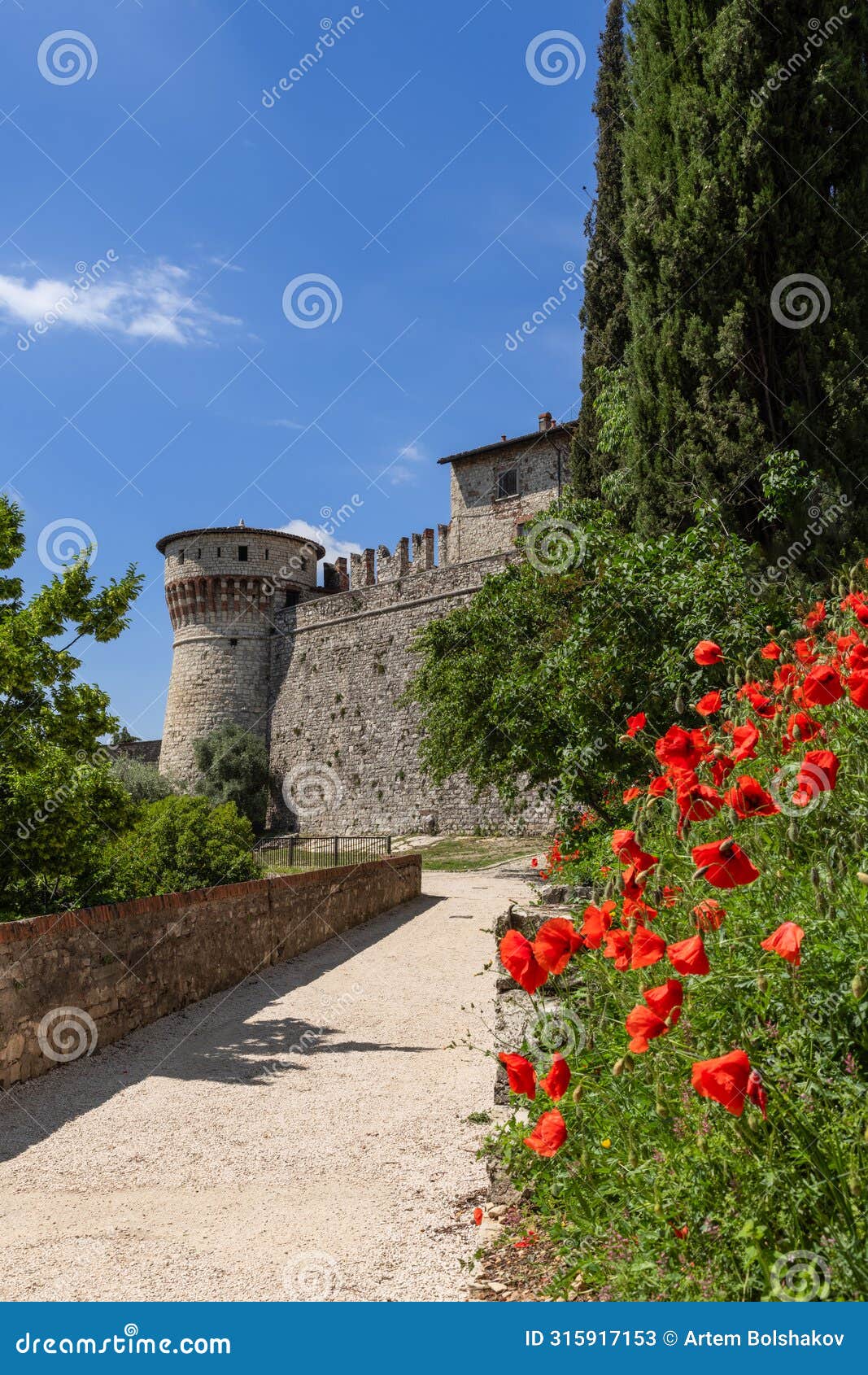 the historic torre dei prigionieri tower looms within brescia medieval castle walls, amidst a vibrant array of red poppies and