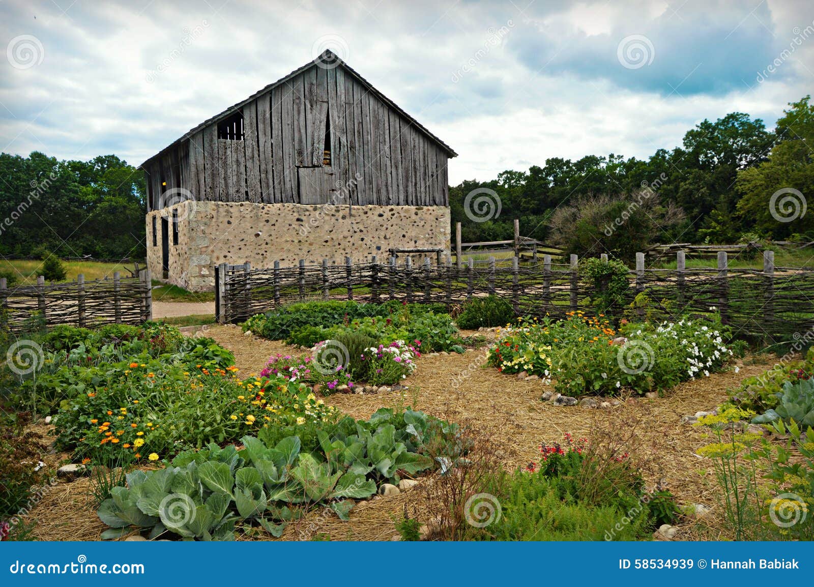 Historical Barn With Flower Garden Stock Image - Image of 