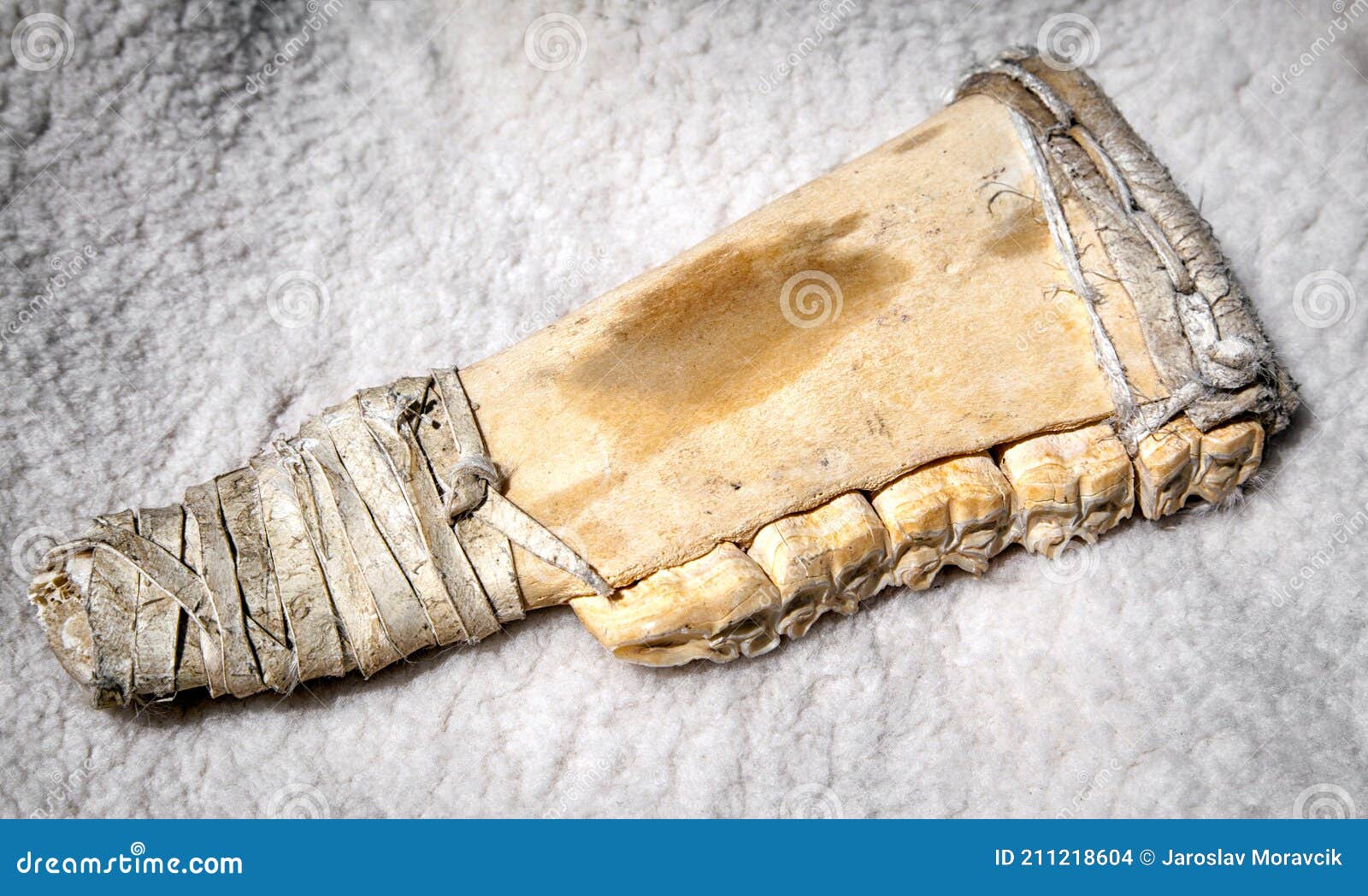 historical bone tool