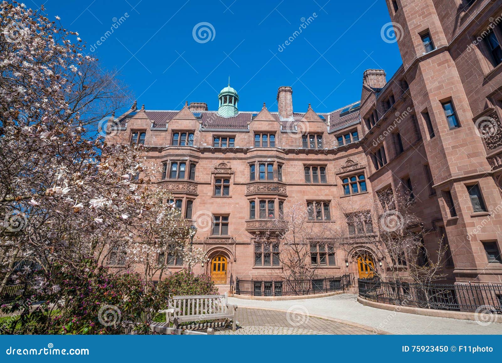 Historical Building in Downtown New Haven Stock Photo Image of park