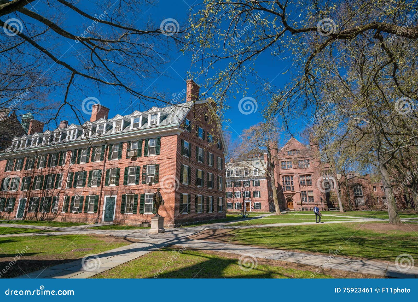 Historical Building in Downtown New Haven Stock Image Image of
