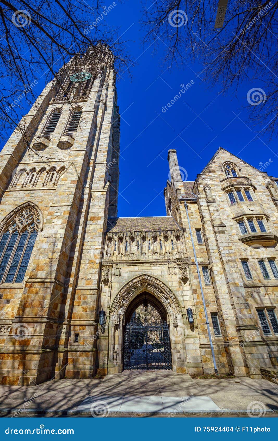 Historical Building in Downtown New Haven Stock Photo Image of spring