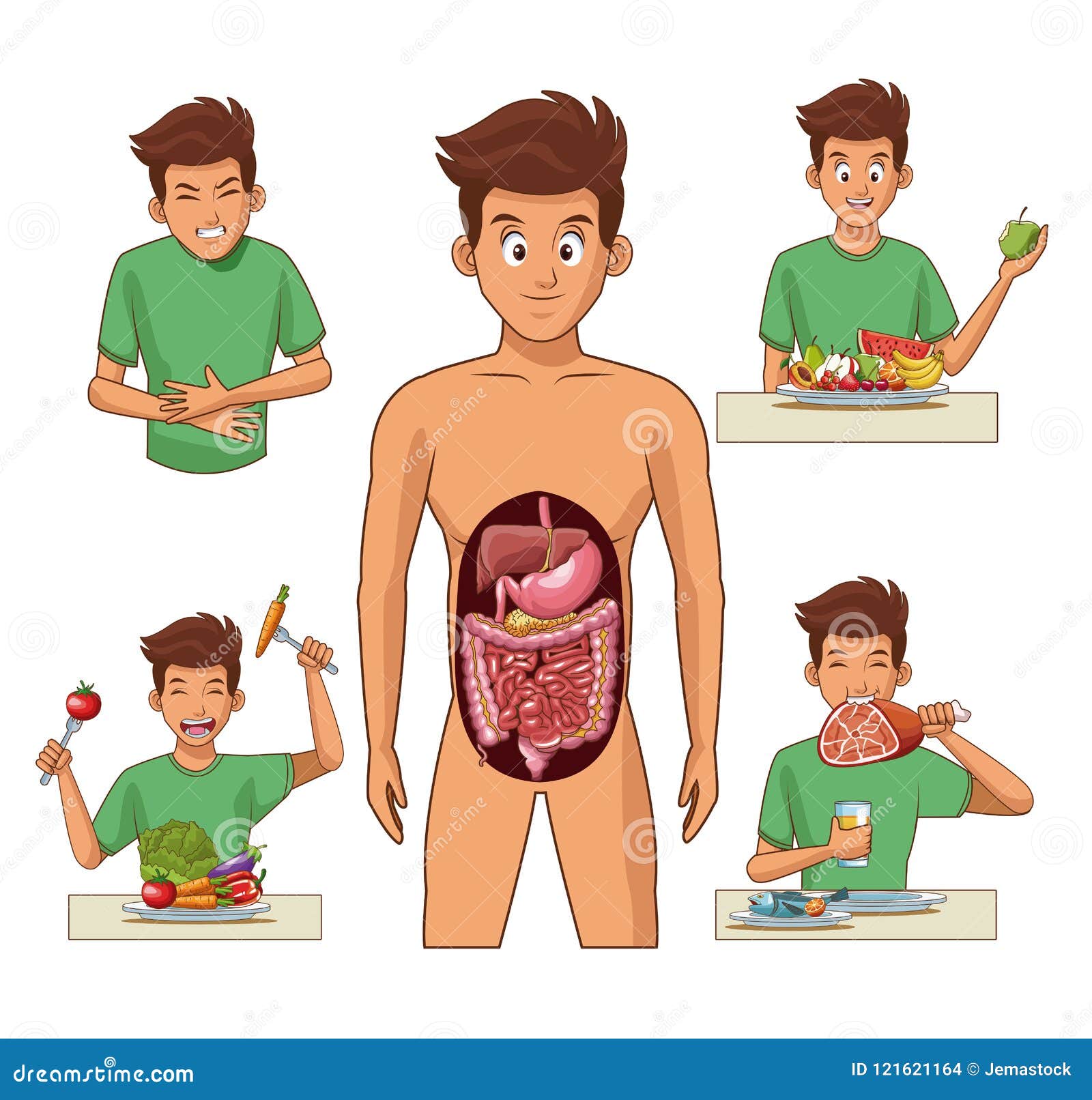 Estómago - Wikipedia, la enciclopedia libre, image size:1600x1612