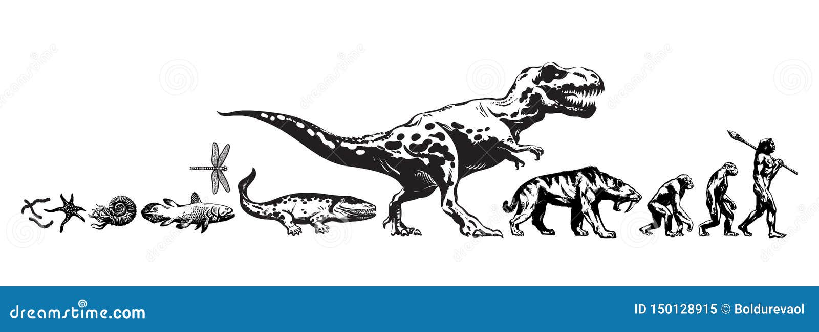 History of Life on Earth. Timeline of Evolution from Prehistoric Animals,  Dinosaur, Saber Toothed Tiger, Monkey To Cave Stock Vector - Illustration  of amphibian, graphic: 150128915