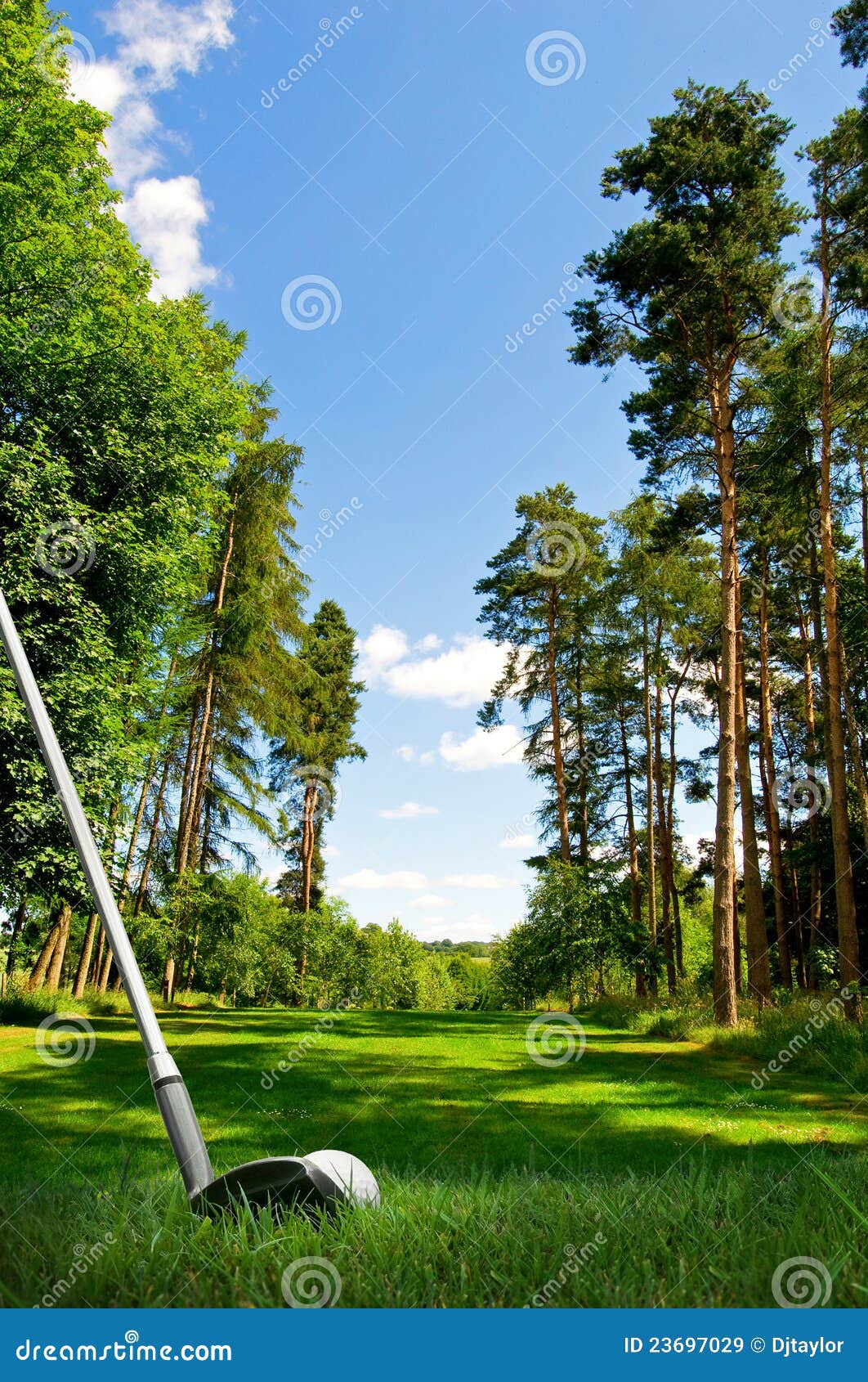 Hitting Golf Ball on Fairway Stock Image Image of meadow, exercise