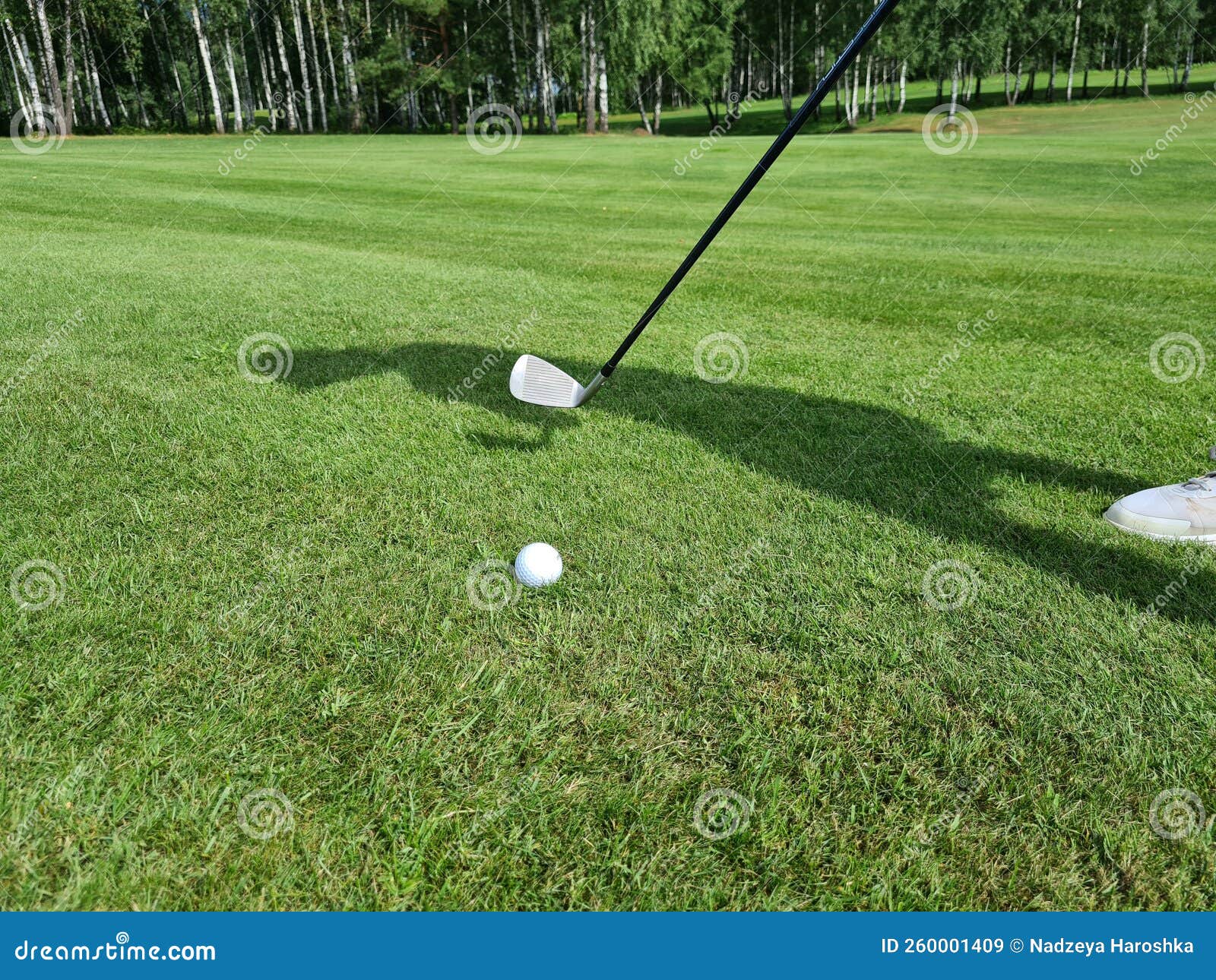 Hitting Golf Ball on Field with Golf Club Stock Image Image of club