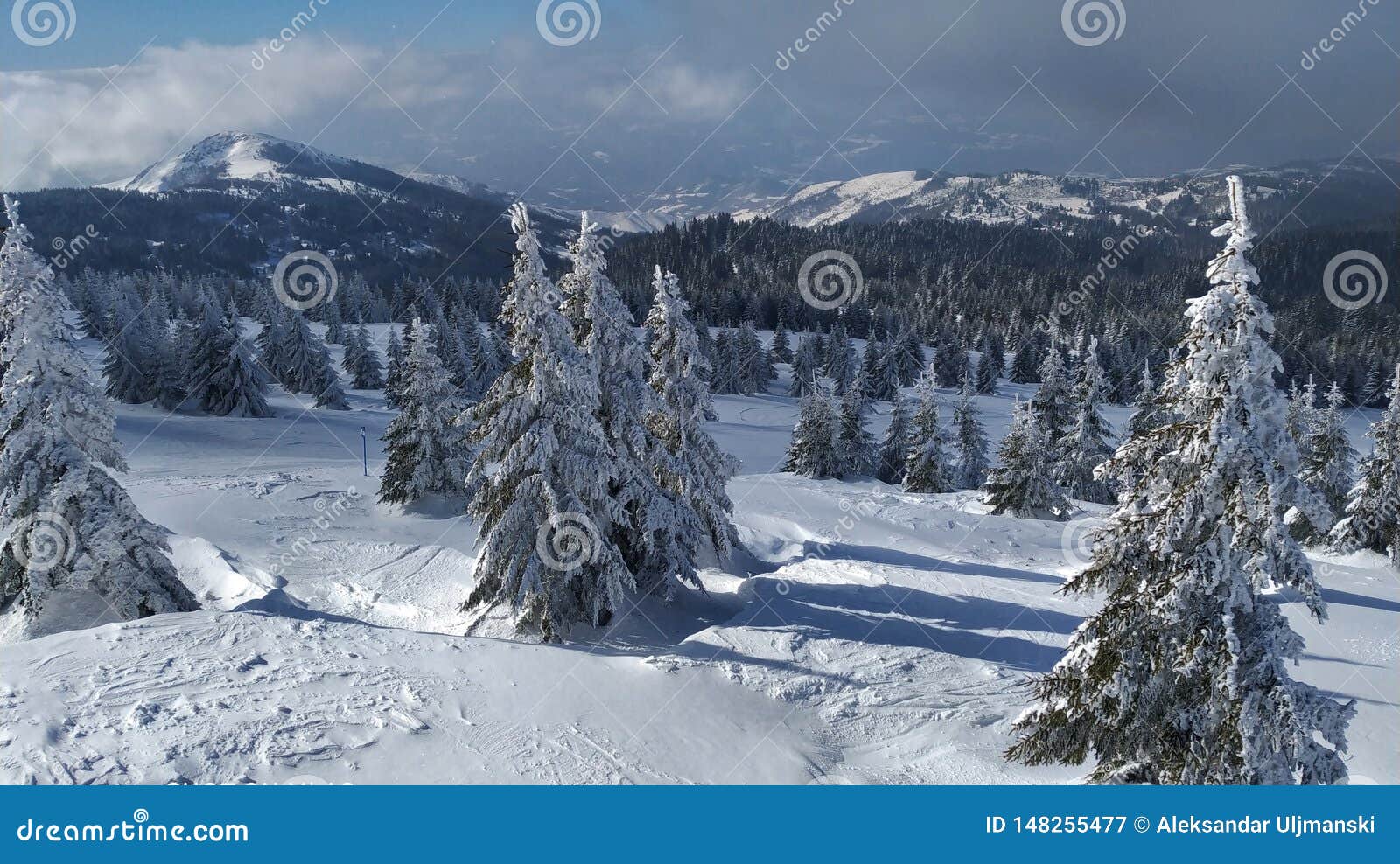 Télécharger gratuitement Images Hiver Sur La Montagne Serbe Kopaonik Image Stock Image Du Hiver dernière salutations