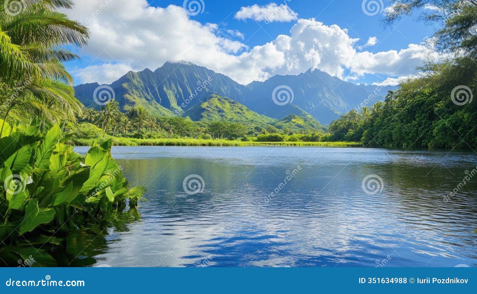ho'omaluhia botanical garden reflecting clouds on the pond with lush vegetation and mountains