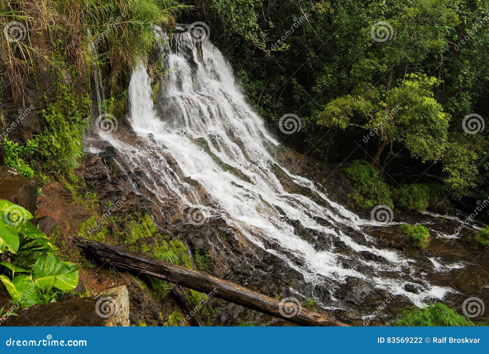 hoopii falls