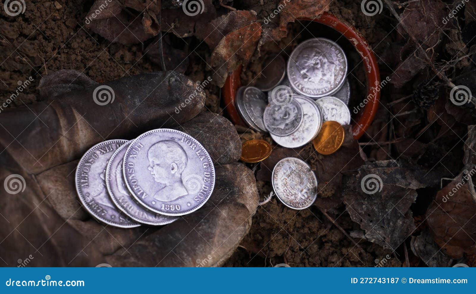 hoard of old coins found in the forest