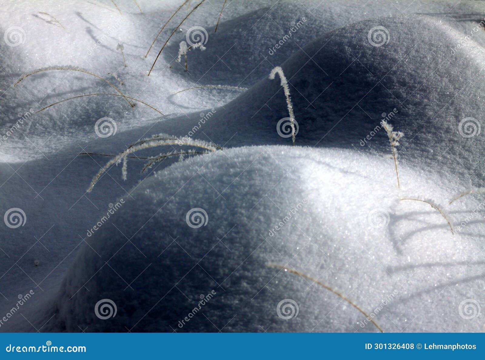 shadows on snow-covered grassy hummocks
