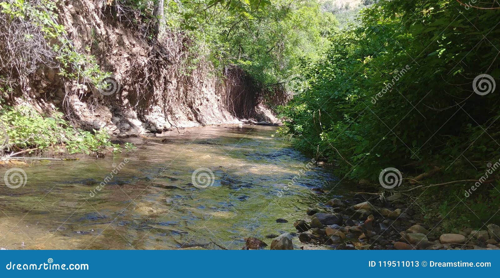 Hobble Creek Canyon stock image. Image of hobble, canyon 119511013