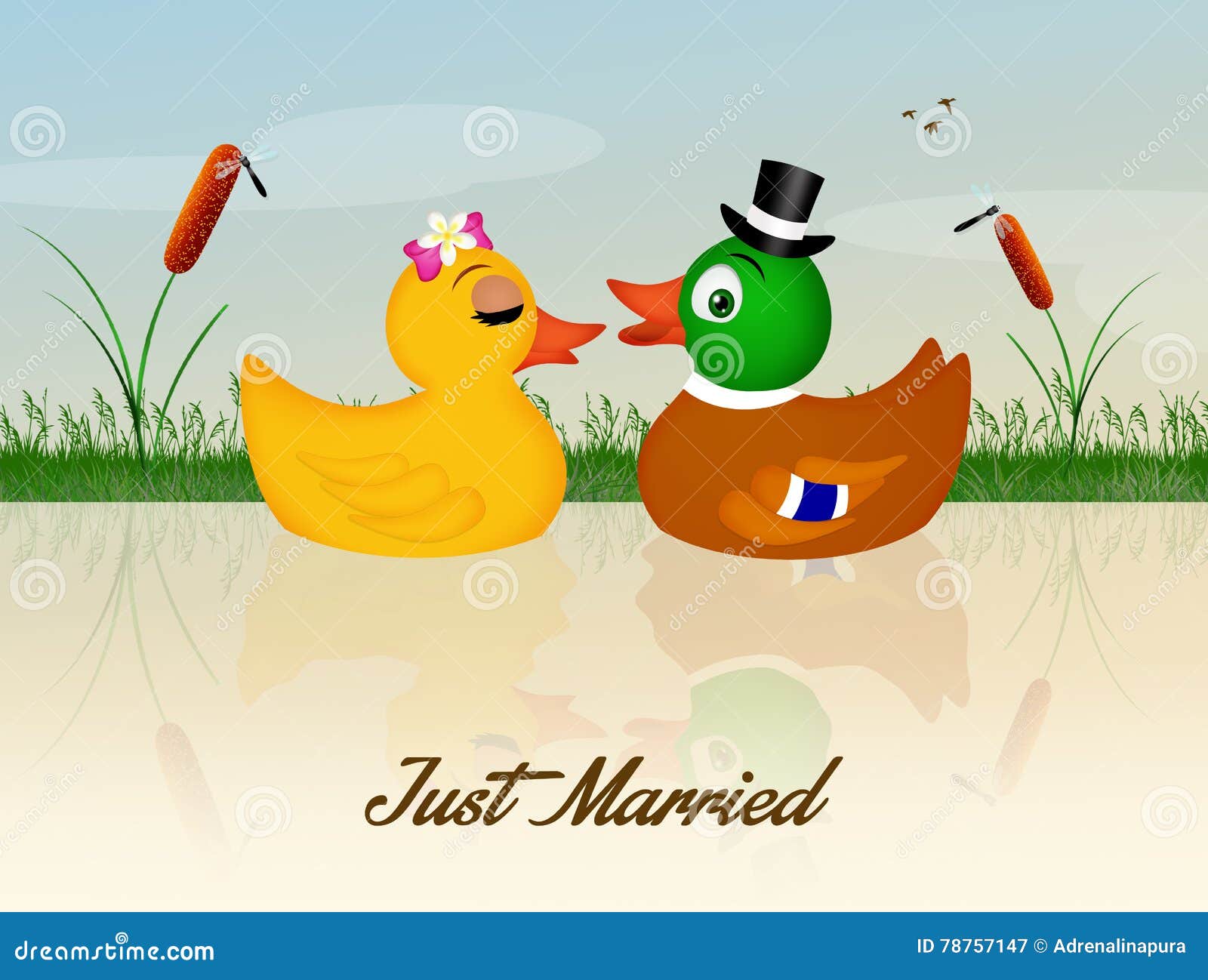 Hochzeit von Enten stock abbildung. Illustration von abbildung 78757147