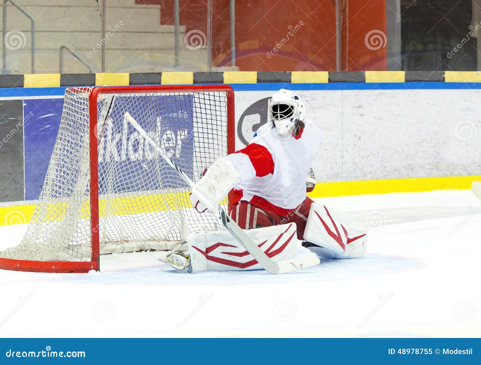 50,995 Hockey Goalie Save Stock Photos, High-Res Pictures, and Images -  Getty Images