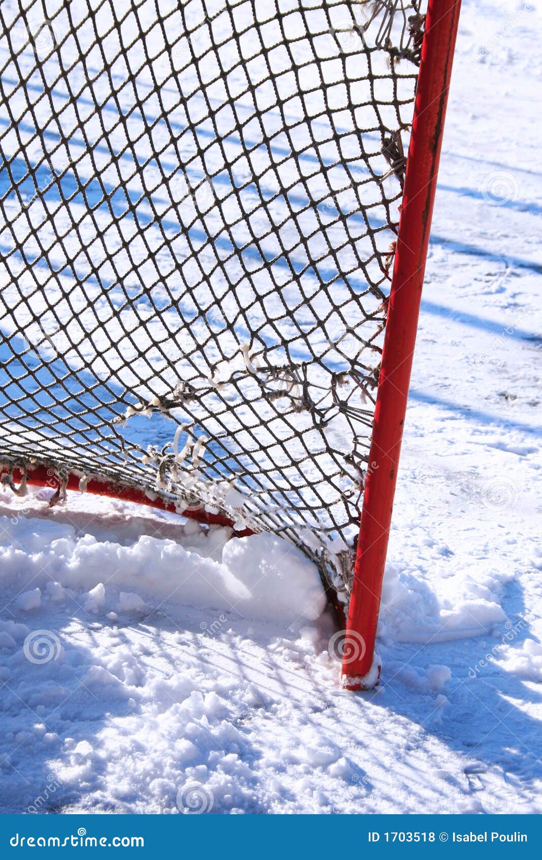 531 Check Hockey Stock Photos - Free & Royalty-Free Stock Photos from  Dreamstime