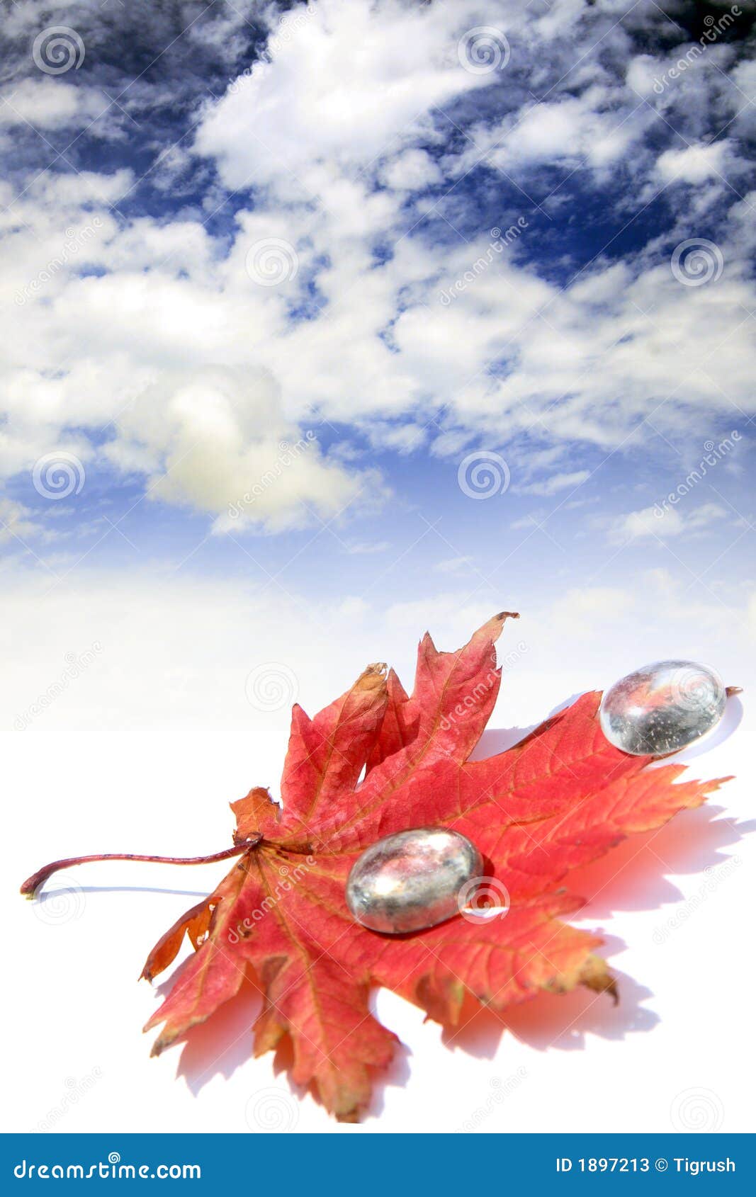 Hoja roja y pocos waterdrops de cristal. Hoja roja del otoño y pocos waterdrops de cristal en un desierto bajo el cielo